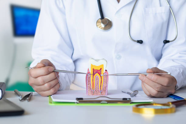 Best Emergency Tooth Extraction  in Cheraw, SC